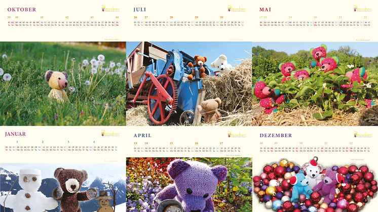 Bärenherz-Kalender für 2016 verfügbar