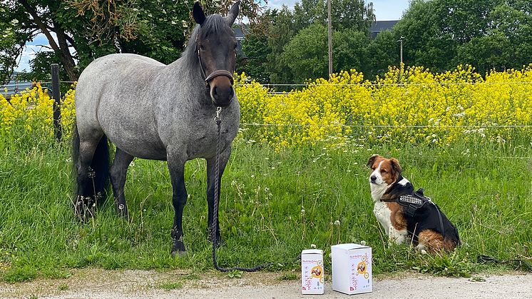 Flytande fodertillskott med EM® - för alla djur