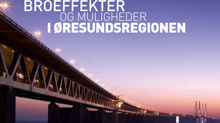 Broeffekter og muligheder i Øresundsregionen