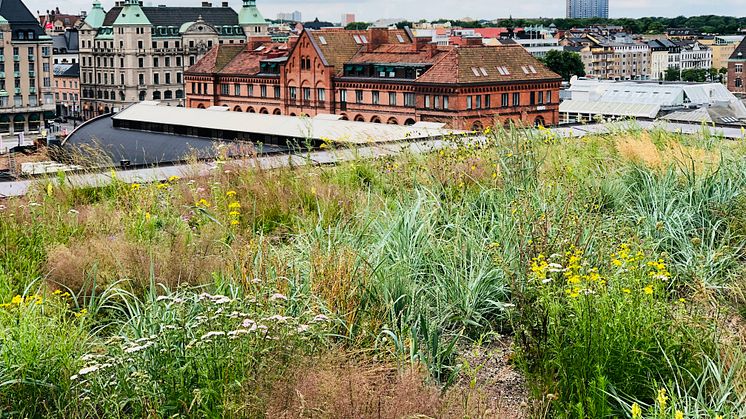 Bengt-Erik Karlberg, Affärsenhetschef Veg Tech, lämnar Nordic Waterproofing