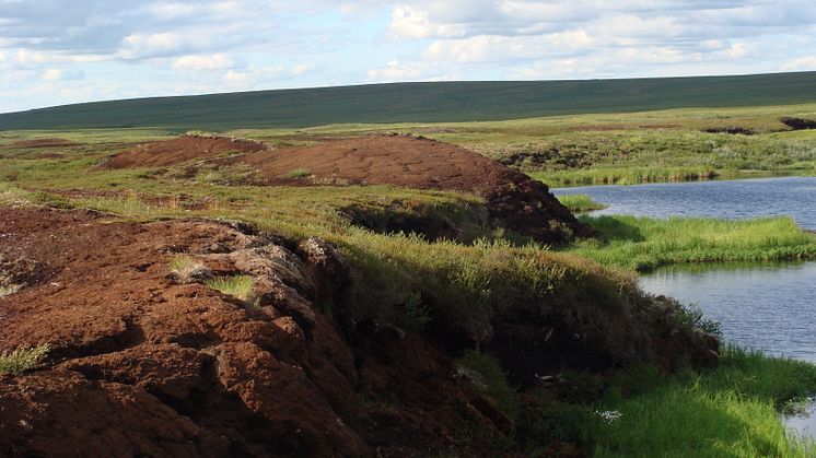 Eroding edge of permafrost peat plateau, Seida, Western Russian Arctic. Photo: Gustaf Hugelius