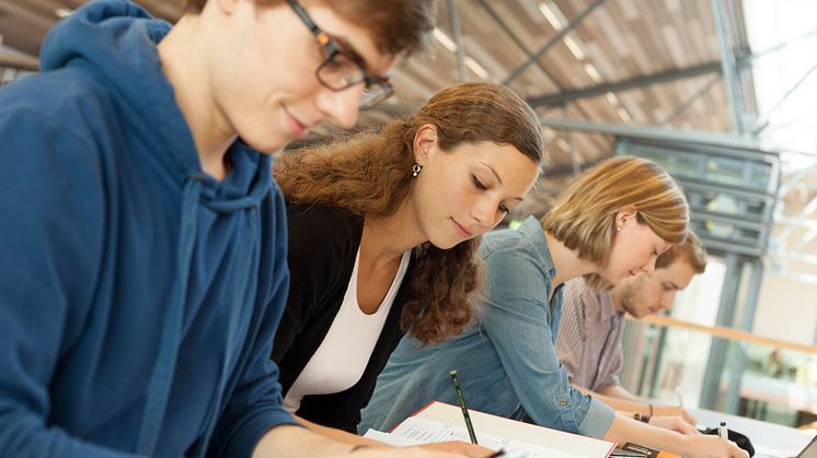 Profilgebundene WissensChecks 2.0 – eine Brandenburger Hochschulpartnerschaft für den Erfolg im Studium