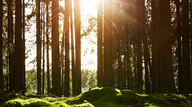 ​Vad ska vårt mest hållbara projekt någonsin heta?