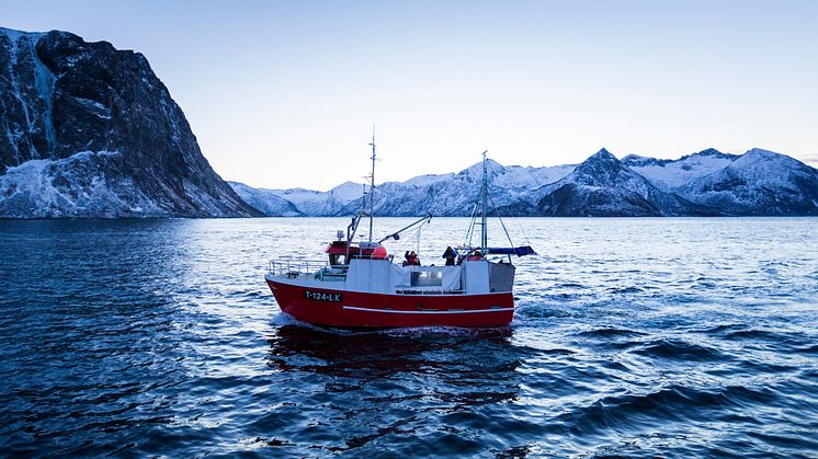 Skreifishing outside Gryllefjord