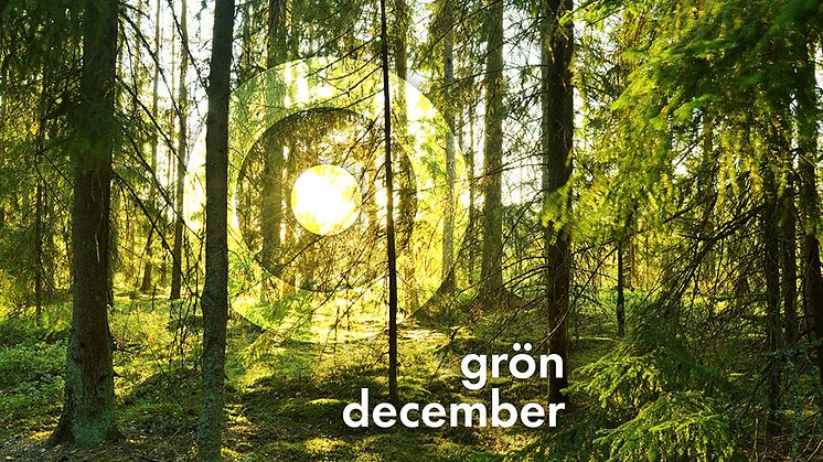 Procurator väljer en grön december - ett träd för varje ny kund!