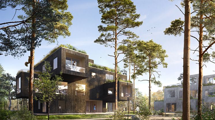 Trästaden i Wendelstrand blir verklighet - 900 nya bostäder i Mölnlycke