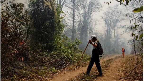 Træning i brandbekæmpelse er en af indsatserne, som reducere skovbrande i Bolivia. Foto af Verdens Skove/APCOB. 