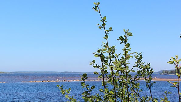 Svensbyfjärden blir ett vattenskyddsområde för att säkra tillgången till dricksvatten - idag och i framtiden. Foto: Jenny Bergman