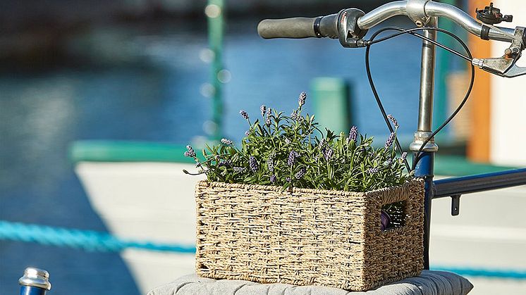 Årets Nordic Mood tar bærekraft på alvor, og forsøker å skape en naturlig look. På bildet: Eirik kurven, som er laget av sjøgress.