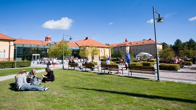 Alla ekonomer fick jobb under sin magisterutbildning på Högskolan Kristianstad