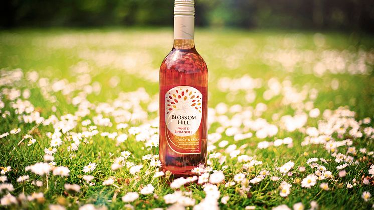 Blossom Hill White Zinfandel