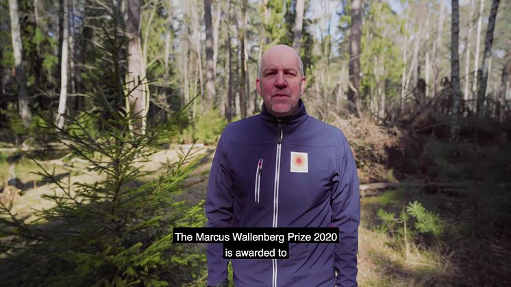 MWP 2020 Announcement video