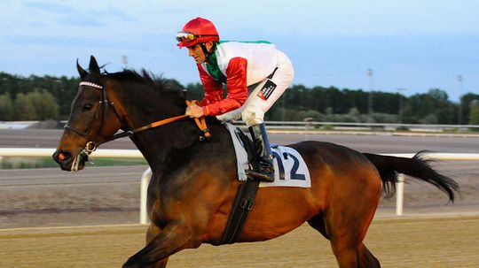 Inför Cup-dagen: Juniors starka trio 