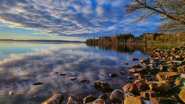 Järnsjön, Årjäng Foto: Peter Andersson