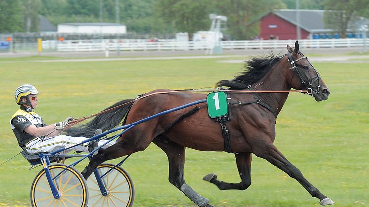 V86: Onsdag Xpress tillbaka på Solvalla och Bergsåker