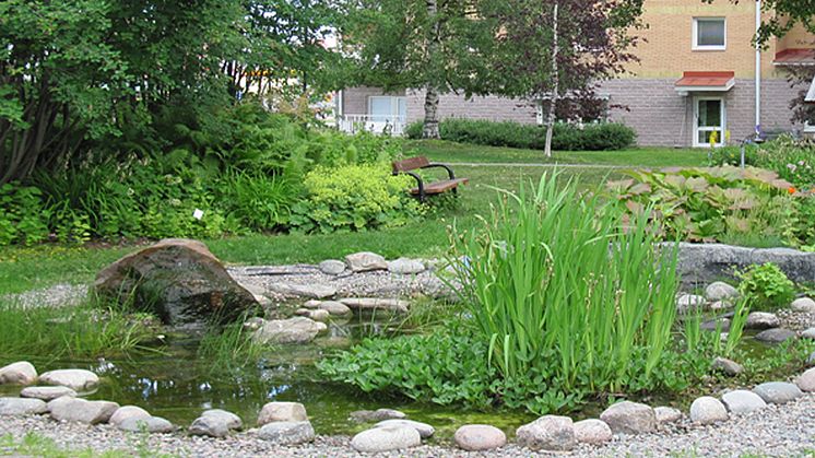 Källboparken i anslutning till Källbogården  Foto: Piteå kommun