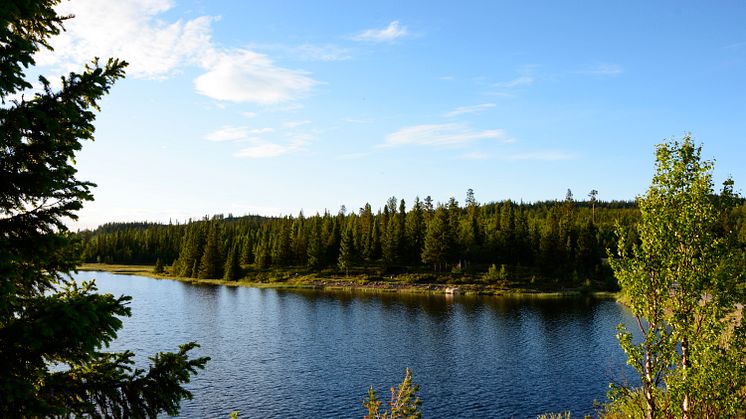 Besök gröna, sköna Vemdalen!