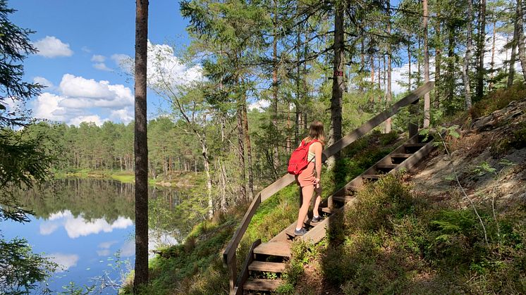 På lördag firar Tresticklans nationalpark 25 år. Foto: Amelie Wintzell