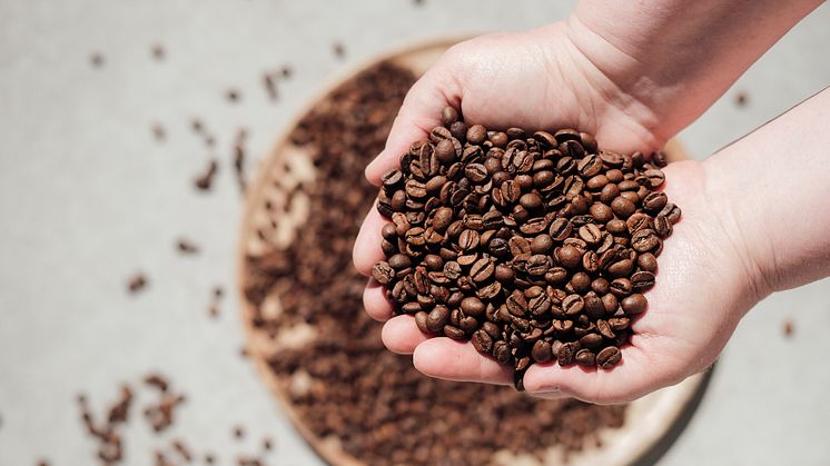 BKI foods har forpligtet sig til at producere deres kaffe mere ansvarligt inden 2030.
