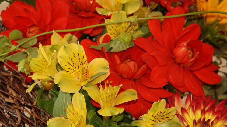 Uttagstävling till SM i Blomsterbinderi på Nordstan 2/9