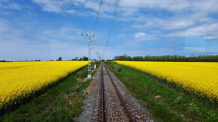 Från idé till hållbar lösning