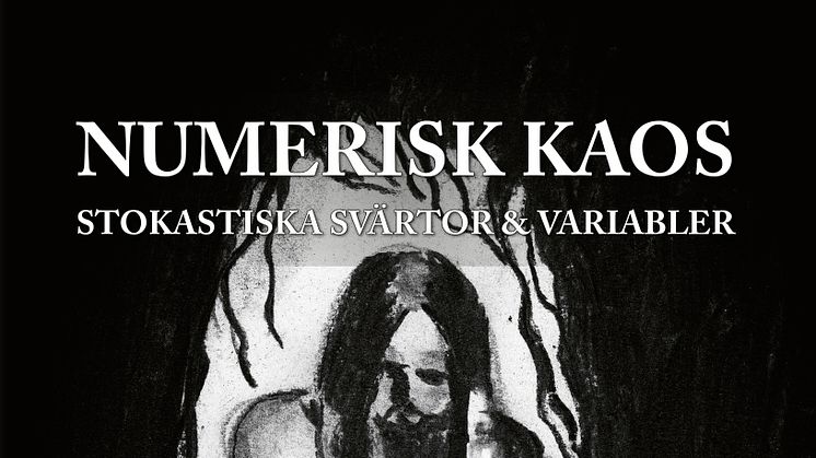 Framsida på boken "Numerisk kaos : Stokastika svärtor och variabler"