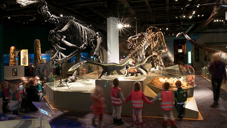 Utställningen Fossil och evolution