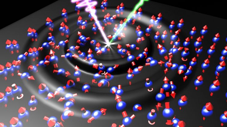I en nanotunn järnbit har forskarna kunnat mäta magnetiseringsförändringar. Bild: Bielefeld University/W. Zhang