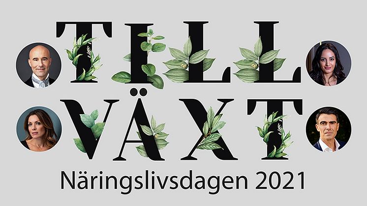 Näringslivsdagen 2021