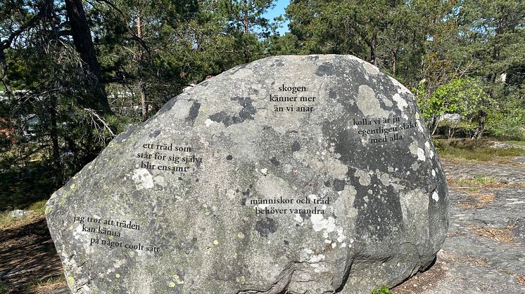 Så blir konstverket i Kristineberg