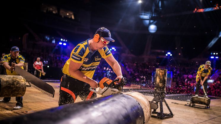 De svenske landshold i TIMBERSPORTS® under VM 2018 i Liverpool. Foto: STIHL TIMBERSPORTS® 