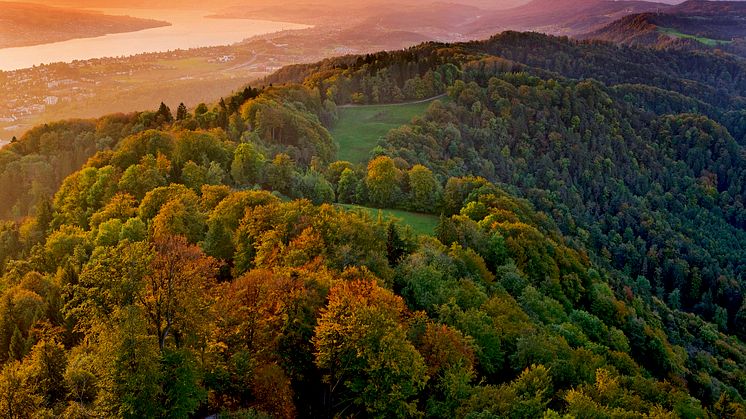 BlickVomUeetlibergUeberDenZuerichsee(c)SchweizTourismus_ChristofSonderegger