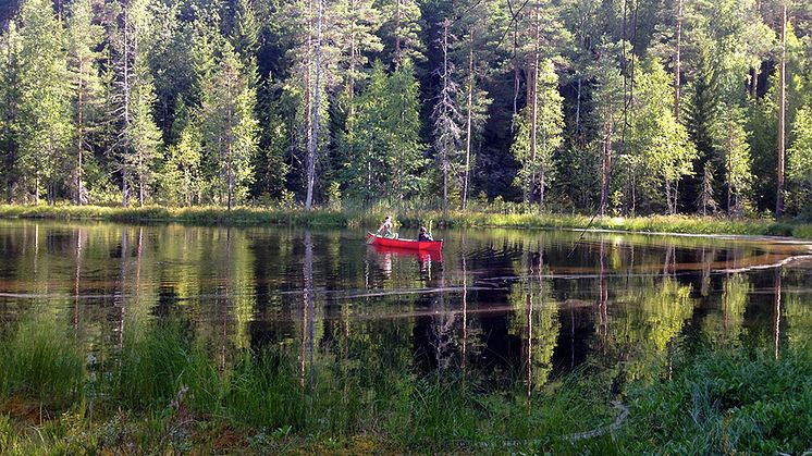 Leyden Fernandez-Vidal och Carla Perez samlar in prover från sjön Alinen Mustajärvi i södra Finland, en av 10 450 miljöer som ingick i studien. Foto: Sari Peura