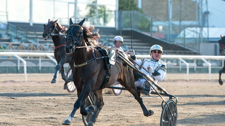 Per Nordström och Önas Prince är en av favoriterna i Svenskt Travkriterium. Foto: Mikael Rosenquist/MiRo Media.