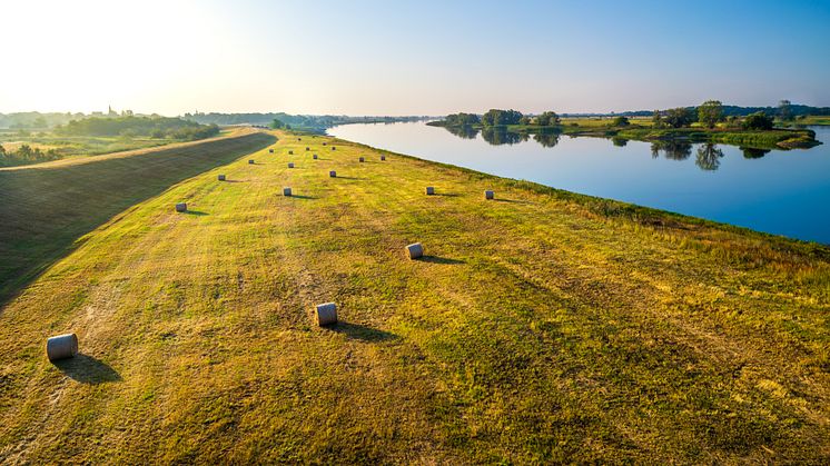 Das UNESCO Biosphärenreservat Flusslandschaft Elbe. Foto: paulmeixnder.de