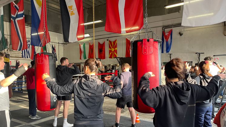 Tirsdagstræning i Amager Boxing Club