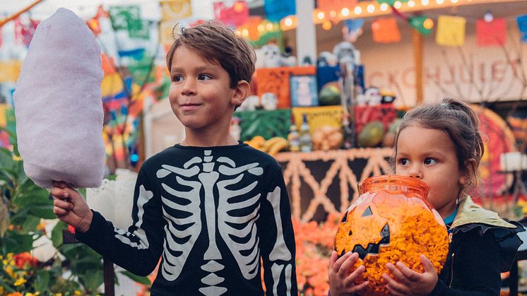 Nu förvandlas Skara Sommarland till Scary Sommarland