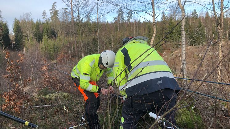 Omfattande insatser i Hörby efter stormen Malik