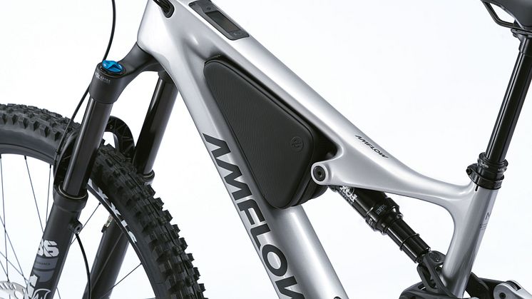 Amflow PL Carbon bike 3.jpg