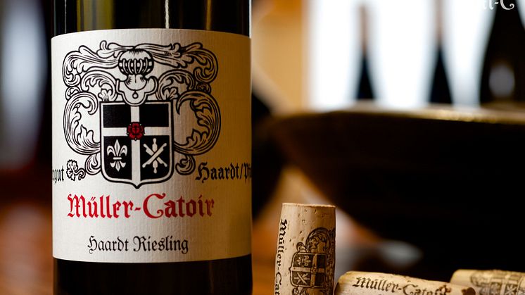 Müller-Catoir Haardt Riesling 2019