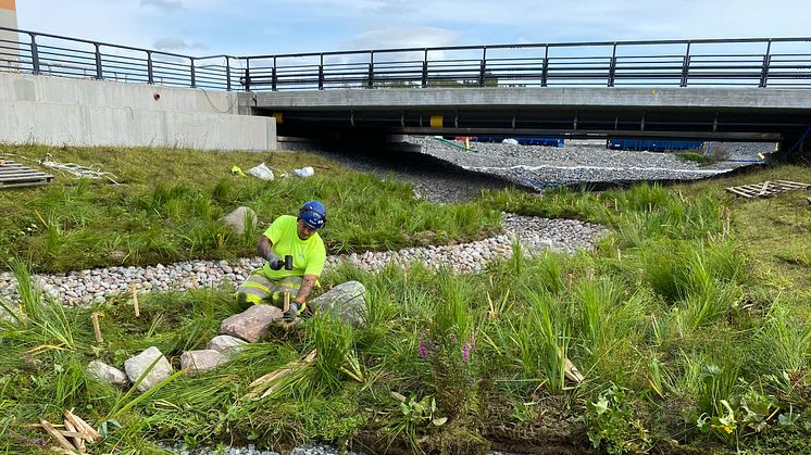 Just nu anläggs Veg Techs strandmattor och ängsmattor i en av Sveriges modernaste stadsmiljöer, Barkabystaden i Järfälla kommun. Här rinner Bällstaån som under många år haft stora problem med föroreningar, erosion och dålig vattenkvalité.