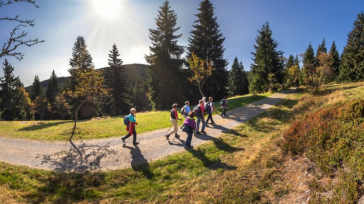 Zum Tag des Wanderns laden geführte Wanderungen ein, die Region zu entdecken (Foto: TVE/Uwe Meinhold)