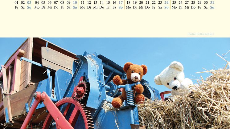 Bärenherz-Kalender für 2016 verfügbar