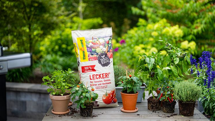 Vegan Gärtnern mit den Bio-Erden von Floragard