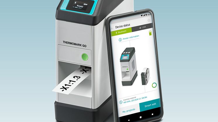 Mobile thermal transfer printer for creating markings directly on site