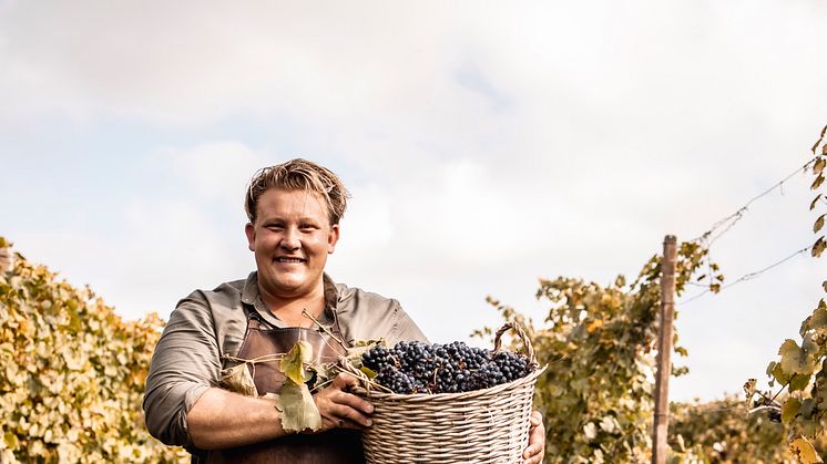 Karl Fredrik på Eklaholm lanserar mousserande vinterrosé