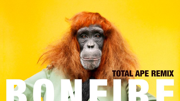 Singelomslag "Bonfire Total Ape Remix"