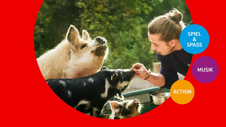 Freikarten zu gewinnen: Stadtsparkasse München lädt zum Erlebnistag im Tierpark Hellabrunn ein