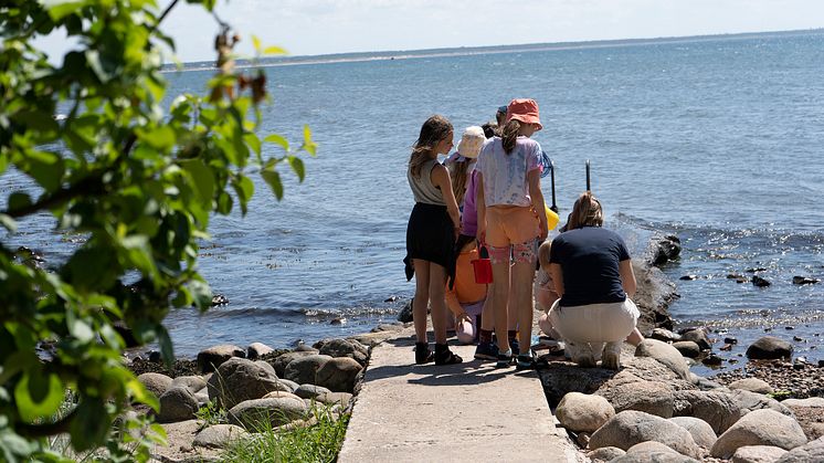 Att fiska krabbor är en populär aktivitet under sommarkollot