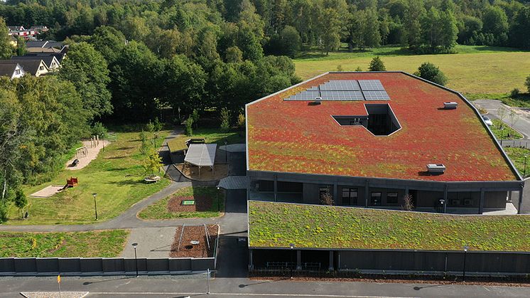 Sedumtak med biokol på Jordgubbsbacken i Eksjö